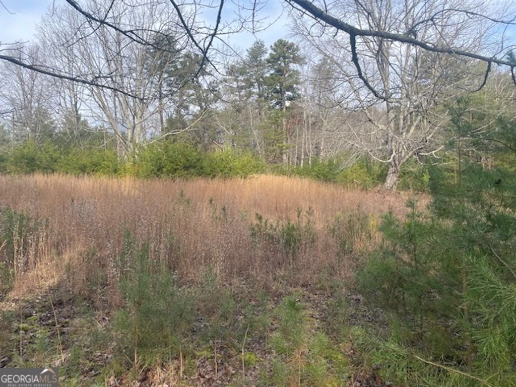 Photo of 2484 Durham Road, Rising Fawn, GA 30738 (MLS # 10659750)