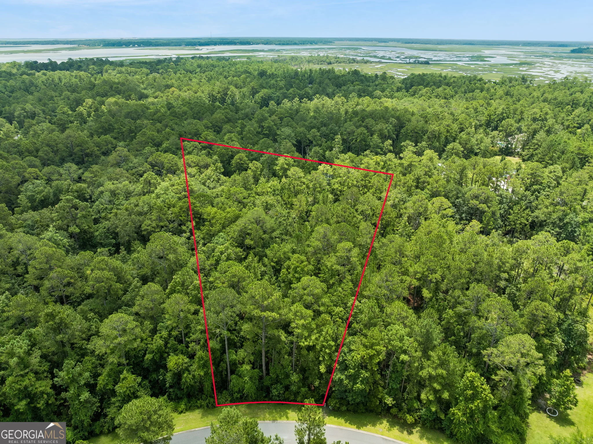 V/L 185 Sunrise Drive, Woodbine, GA, 31569
