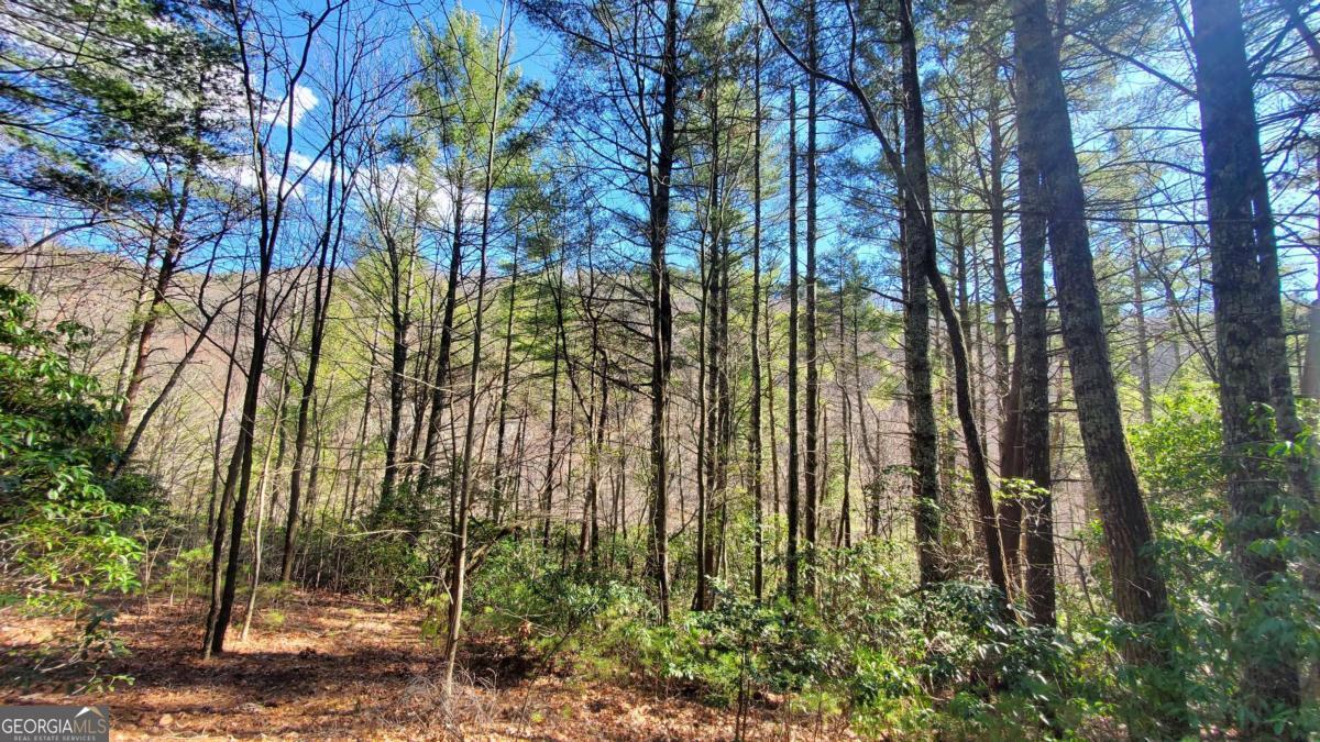 51+ ACRE Mountain Cove WAY 1-8