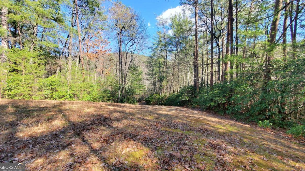 51+ ACRE Mountain Cove WAY 1-8