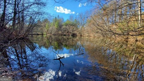 51+ ACRE Mountain Cove WAY 1-8 Cherry Log GA 30522