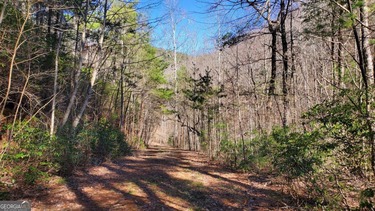 51+ ACRE Mountain Cove WAY 1-8