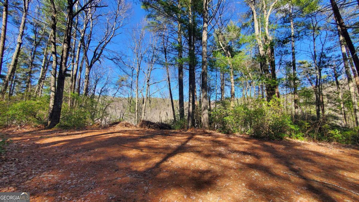 51+ ACRE Mountain Cove WAY 1-8