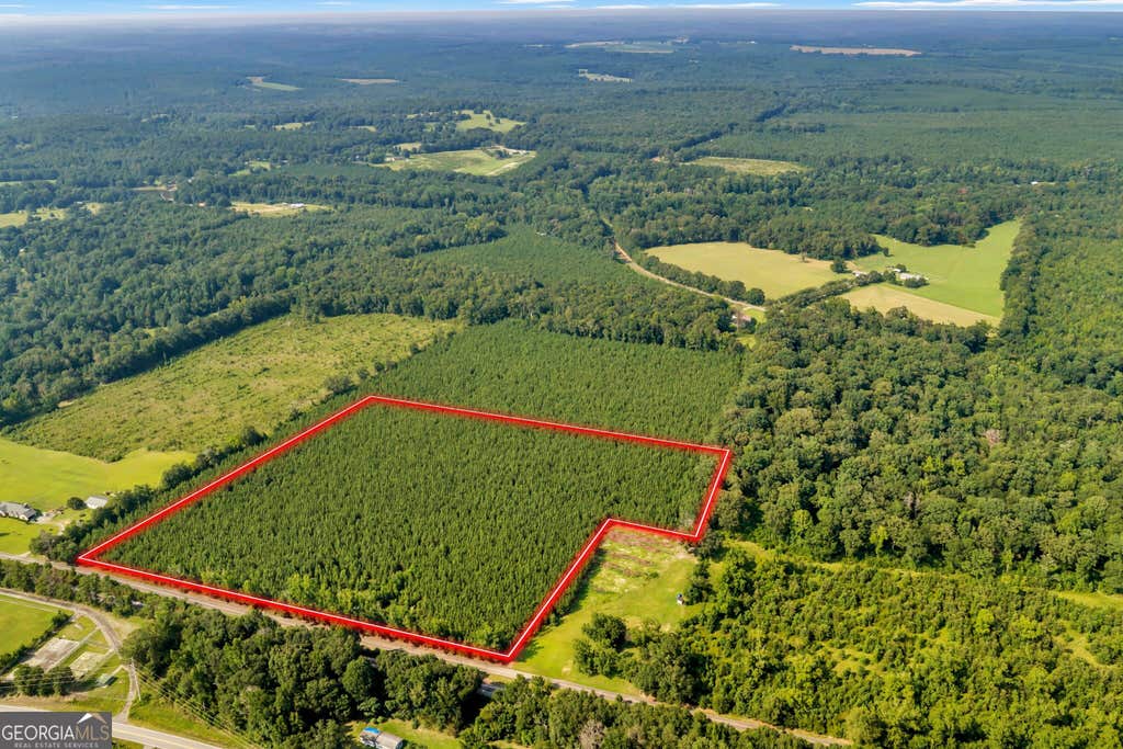 Photo of ALLEN LOT Turkey Creek Road, Danville, GA 31017 (MLS # 10833526)