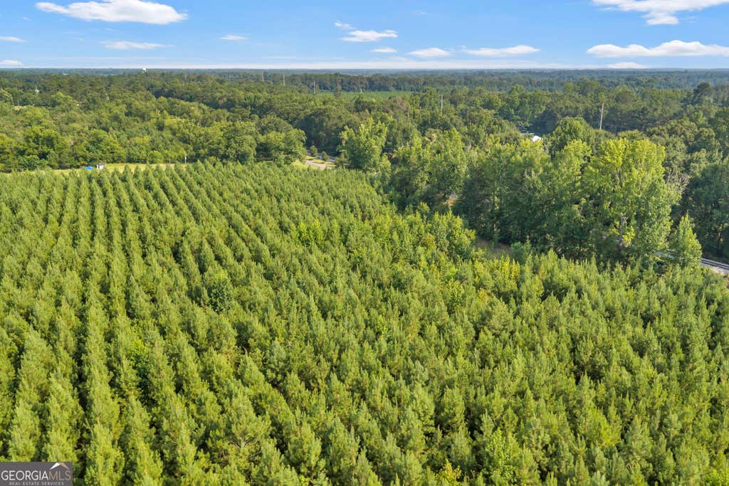 Photo of ALLEN LOT Turkey Creek Road, Danville, GA 31017 (MLS # 10833526)