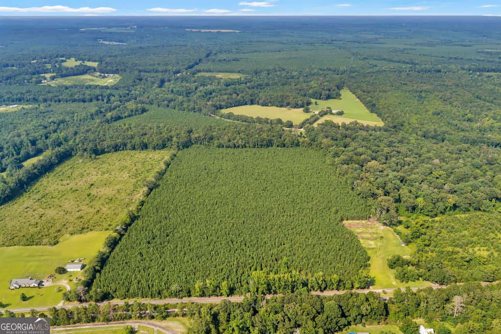 Photo of ALLEN LOT Turkey Creek Road, Danville, GA 31017 (MLS # 10833526)