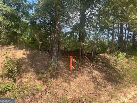 Photo of 0 Cook Road #TRACT 15, Monticello, GA 31064 (MLS # 10848942)