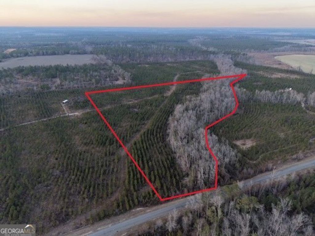 Photo of 4 Powell School Road, Lumber City, GA 31549 (MLS # 10688718)