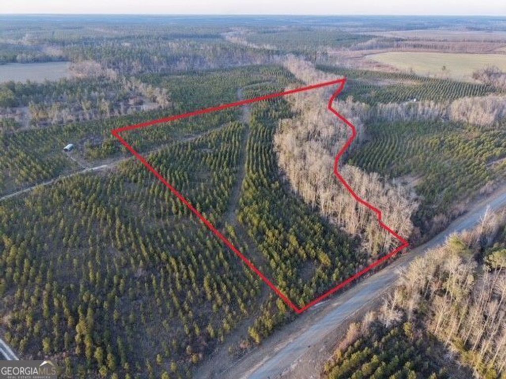 Photo of 4 Powell School Road, Lumber City, GA 31549 (MLS # 10688718)