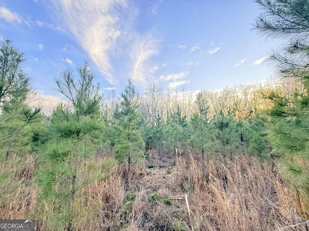 Photo of 4 Powell School Road, Lumber City, GA 31549 (MLS # 10688718)