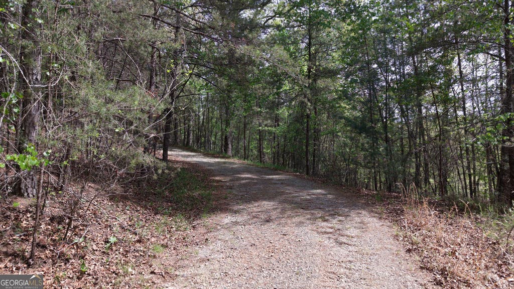 Photo of 20 Horseshoe Bend Road, Dahlonega, GA 30533 (MLS # 10805608)