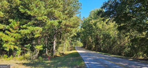 Photo of 3 BETHANY CHURCH Road, Lincolnton, GA 30817 (MLS # 10868359)