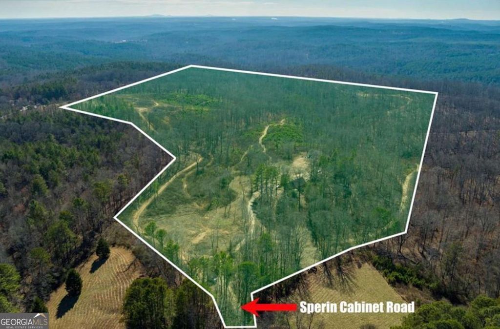 Photo of 170 Sperin Cabinet Road, Ball Ground, GA 30107 (MLS # 10654883)