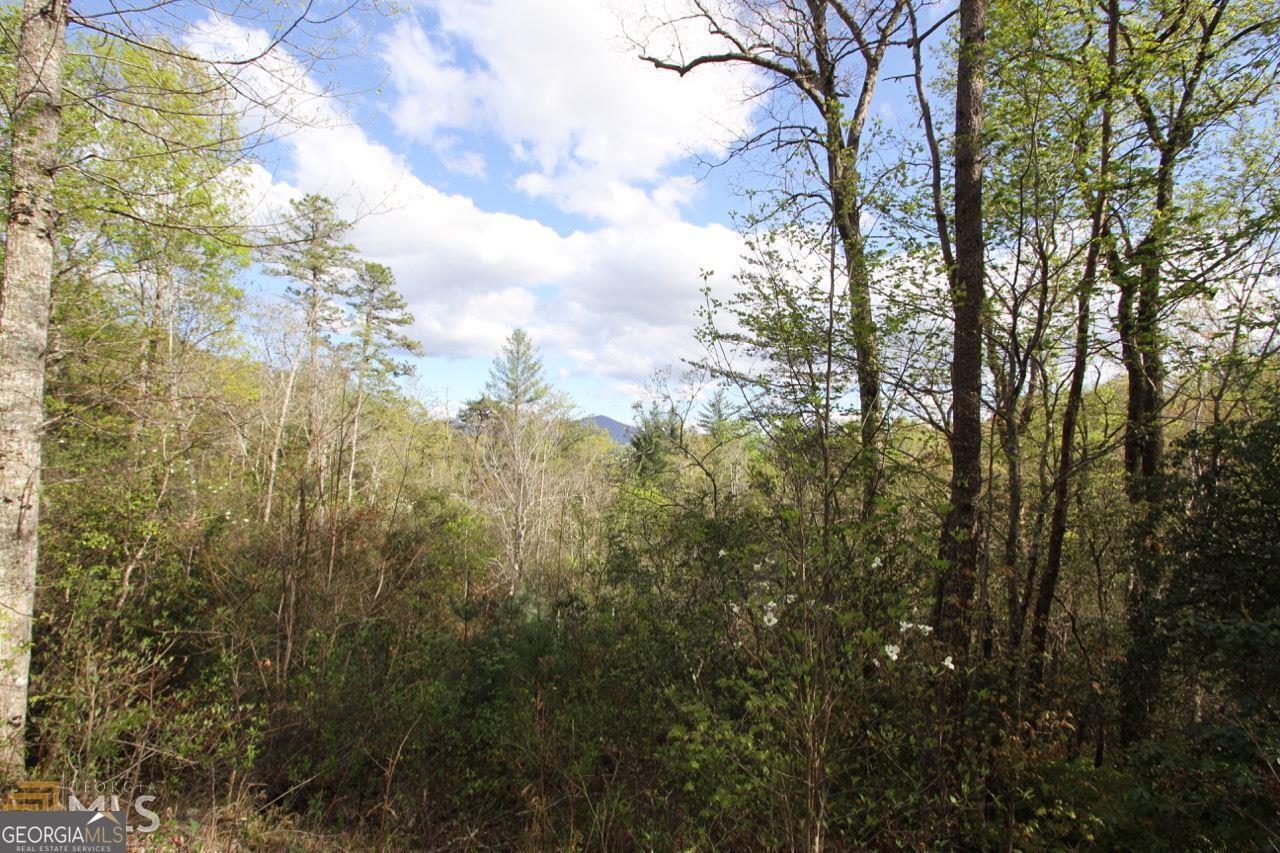 One of my favorite lots in Wynngate! This 3.35 acre lot in Shadow Mountain offers a gentle sloped building site with great mountain views. Perfect lay out for a home and garden area or detached garage/workshop. Covenant protected area. Close to Downtown Dillard shopping and restaurants. Could be bought with Lot SM-34 for complete end- of- the -road privacy.