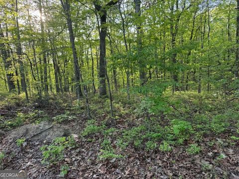 Photo of 1440 Hanna Drive, Ranger, GA 30734 (MLS # 10732310)