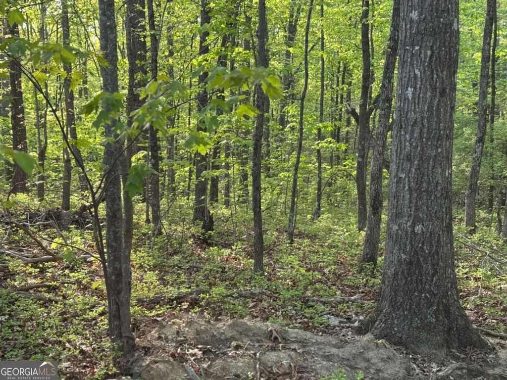 Photo of 1440 Hanna Drive, Ranger, GA 30734 (MLS # 10732310)