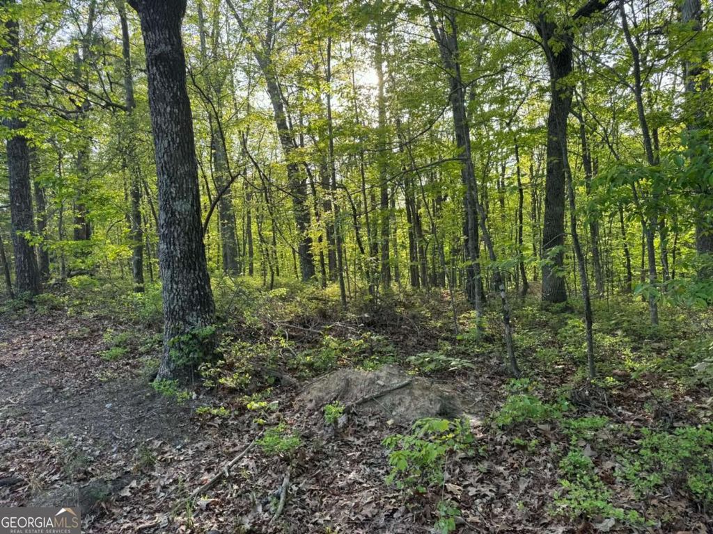 Photo of 1440 Hanna Drive, Ranger, GA 30734 (MLS # 10732310)