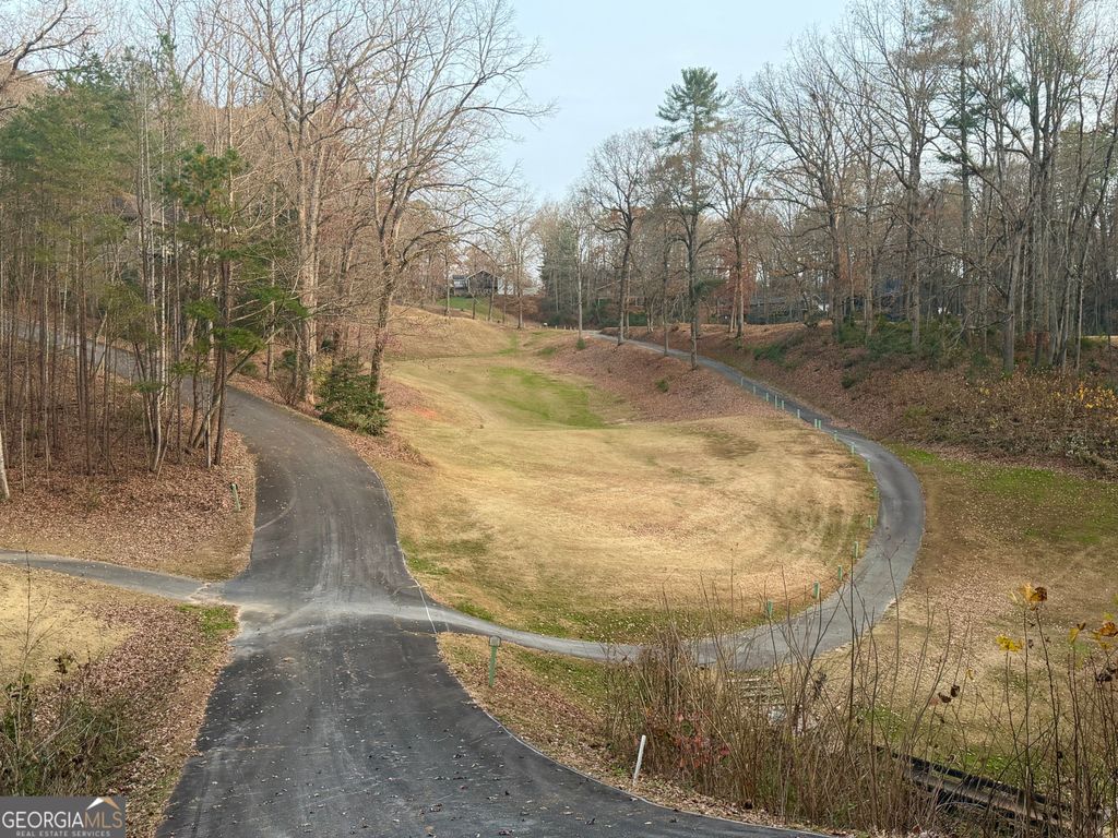 Photo of 0 Kingwood Court Lane, Clayton, GA 30525 (MLS # 10652104)