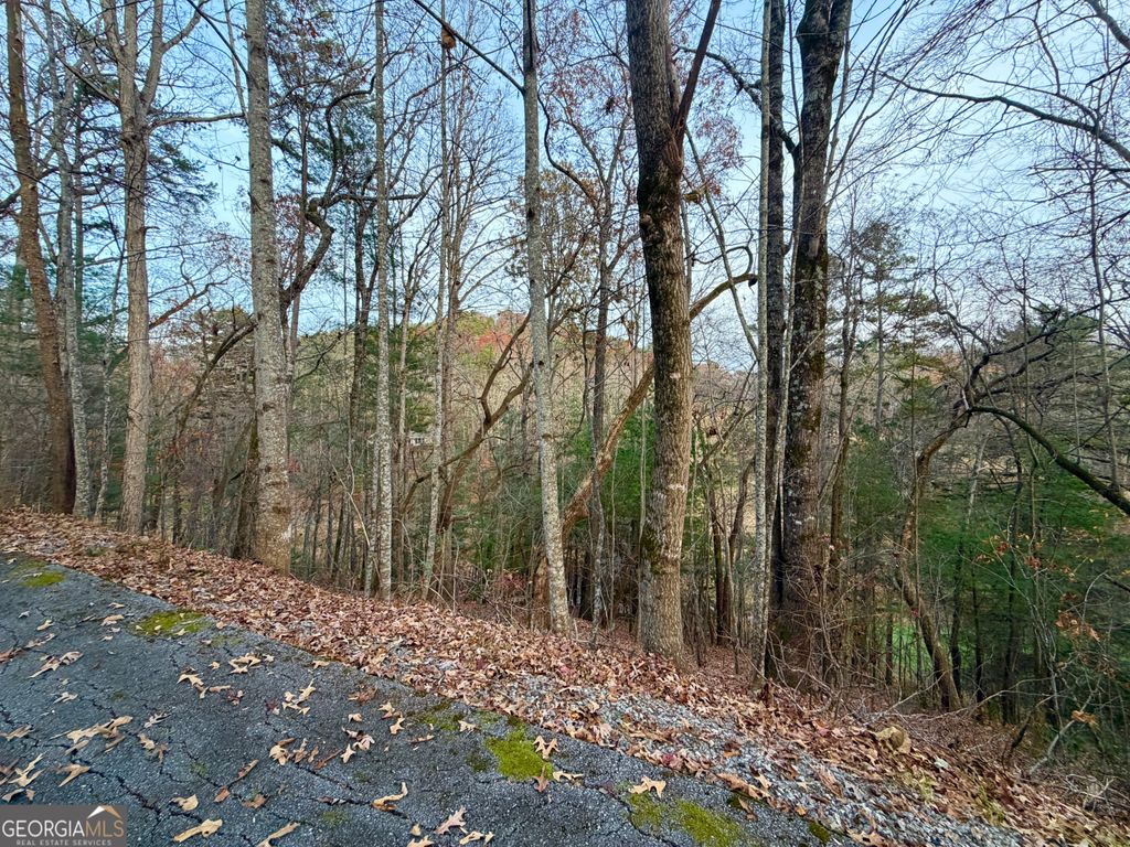 Photo of 0 Kingwood Court Lane, Clayton, GA 30525 (MLS # 10652104)