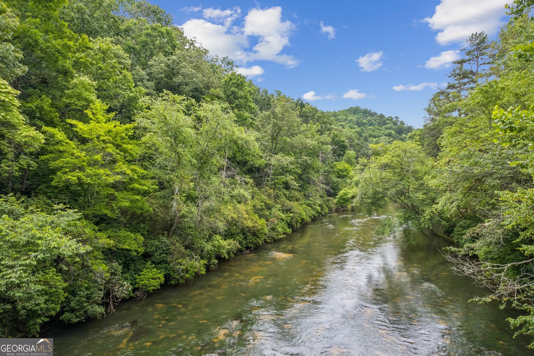 Exceptional RIVERFRONT Lot! Discover the opportunity to own 171 feet of river frontage in one of North Georgia's most scenic locations. Enjoy direct access to the Cartecay River, with property lines extending to the river's center-perfect for fishing, kayaking, or simply relaxing to the tranquil sounds of flowing water. A natural slope makes it ideal for a basement-style home. Benefit from the freedom of no HOA fees and no rental restrictions, along with modern conveniences including city water, high-speed internet, and paved access already in place. Just minutes from the refined charm of Downtown Ellijay, this exclusive homesite offers the perfect blend of luxury, nature, and convenience. Adjoining additional lots #3 (.88 acre), #4 (.66 acre), #5 (.74 acre) also available for added privacy or expanded estate potential.