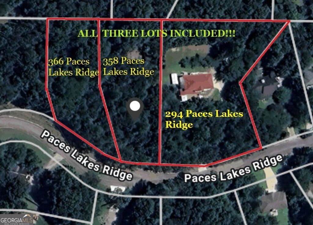 Photo of 294 Paces Lakes Ridge, Dallas, GA 30157 (MLS # 10651389)