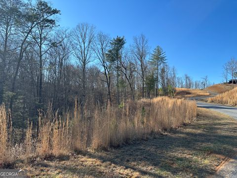 Photo of 77 River Overlook Lane S, Ellijay, GA 30540 (MLS # 10707318)