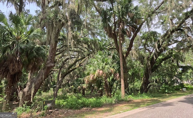 Tucked away in a private cul-de-sac in the prestigious gated community of Cumberland Harbour, this residential lot is the perfect canvas for your future coastal dream home. If you're looking for even more space, the adjacent lot is also available for sale! Surrounded by majestic, centuries-old oak trees, the property offers both privacy and natural beauty. Enjoy resort-style living with access to top-tier amenities including a fitness center, pickleball and tennis courts, a lap pool, splash pad, and scenic walking trails. Spend your afternoons at the community beach or take in sunset views from the river lookout and dock. Just a short ride from lively historic downtown St. Marys-this is the future of your best-life-living at its finest!
