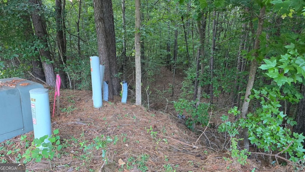 Photo of 1628 Norris Landing Drive, Snellville, GA 30039 (MLS # 10708894)