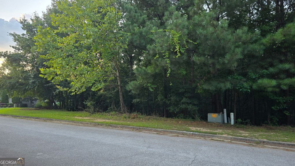 Photo of 1628 Norris Landing Drive, Snellville, GA 30039 (MLS # 10708894)