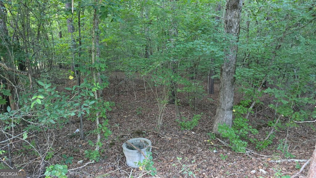 Photo of 1628 Norris Landing Drive, Snellville, GA 30039 (MLS # 10708894)