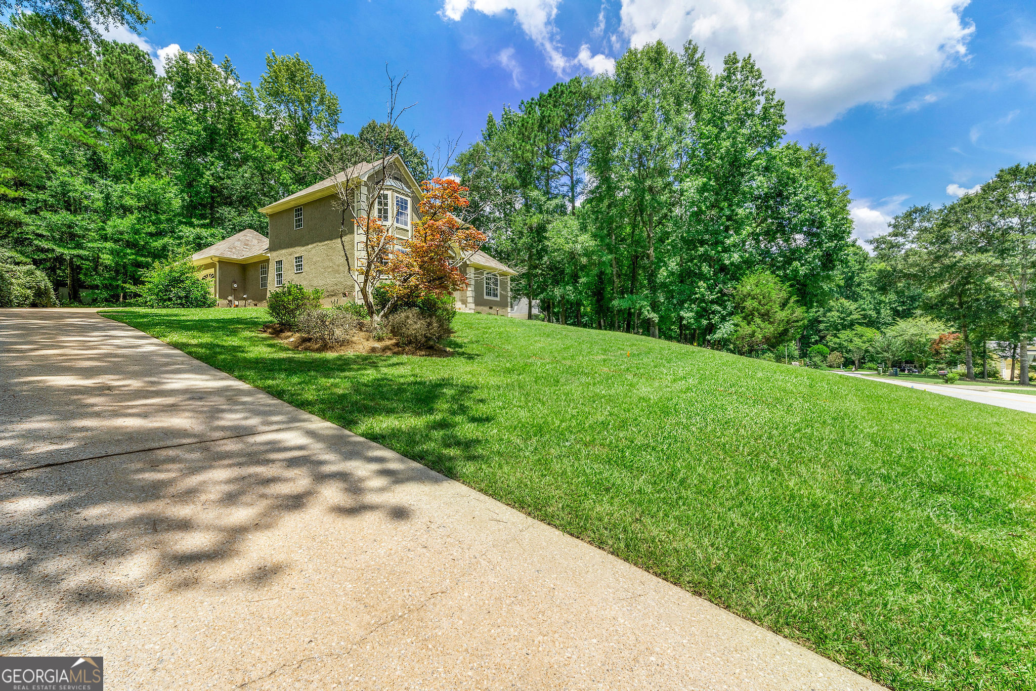 54 Spring Forest CT