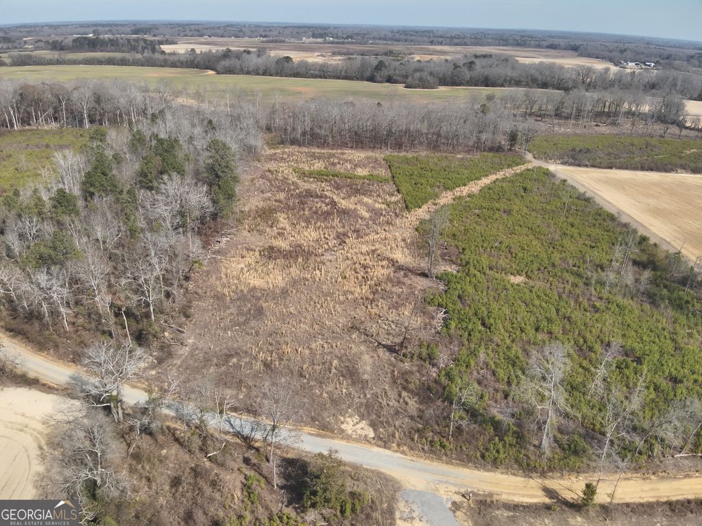 Photo of 1221 Woodland Road, Jeffersonville, GA 31044 (MLS # 10688806)