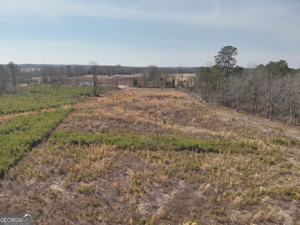 Photo of 1221 Woodland Road, Jeffersonville, GA 31044 (MLS # 10688806)