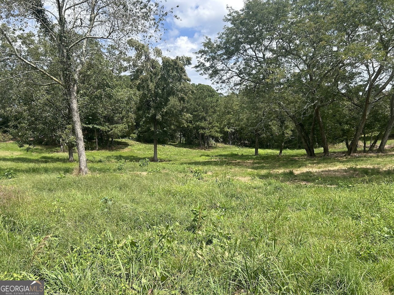This is a premium tract of land with possibly the best views in West Georgia. This is a wonderful place to relax and watch the Sunrise or Sunset. This is a larger tract of land that the seller is willing to parcel out, ranging in size from 7.47 acres to 12.63 acres, for more affordability. The property has a great mixture of mature trees, open meadows, and privacy that you desire. The perimeter is newly fenced, and each tract of land has at least one great build site. This acreage gives plenty of space for hobbies, pets, kids, and entertaining.