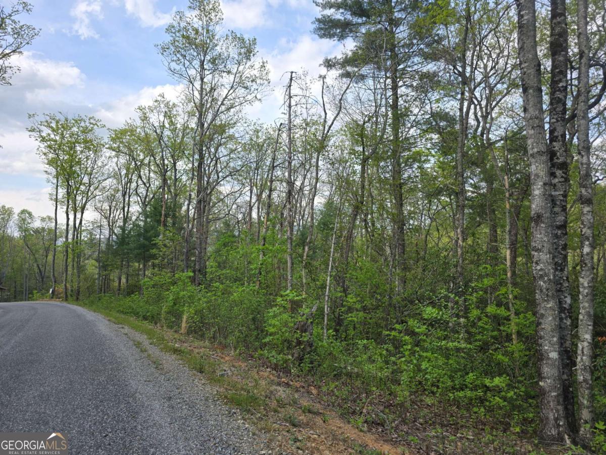 Nestled in the scenic North Georgia mountains, this 1.5+/- acre lot offers the ideal setting for your dream retirement or vacation home. Located in a private, gated community of only 18 lots, it offers a peaceful, intimate setting with stunning year-round views of Brasstown Bald-Georgia's highest peak. The lot features a private well and completed perk test, making it ready for septic installation and future building. Just minutes from Vogel State Park, Blood Mountain, and the Appalachian Trail, outdoor adventure is right at your doorstep. Enjoy the best of both worlds with quiet mountain living and the convenience of nearby downtown Blairsville, offering local shops, dining, and community charm. A rare opportunity for privacy, natural beauty, and easy access to North Georgia's most loved attractions.