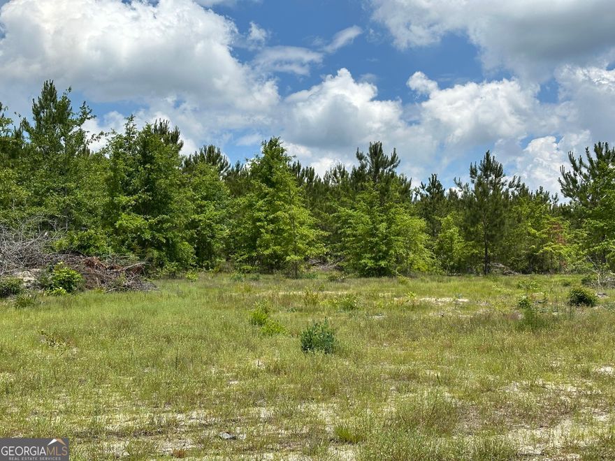 Beautiful land! Hard to find acreage close to Dublin. No Restrictions! Adjacent Land is available for a larger tract. Just a quick drive to Dublin, Restaurants, Hospital, Medical facilities and Shopping.
