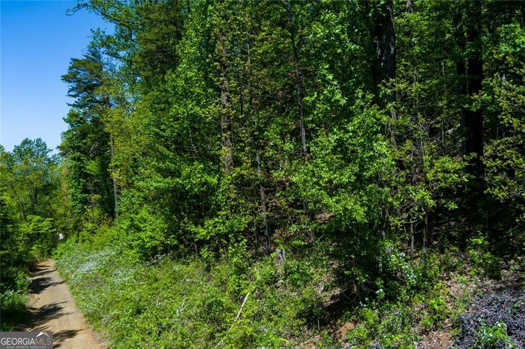 0 Fire Tower RD LOT 7