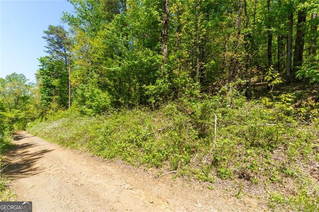 0 Fire Tower RD LOT 7