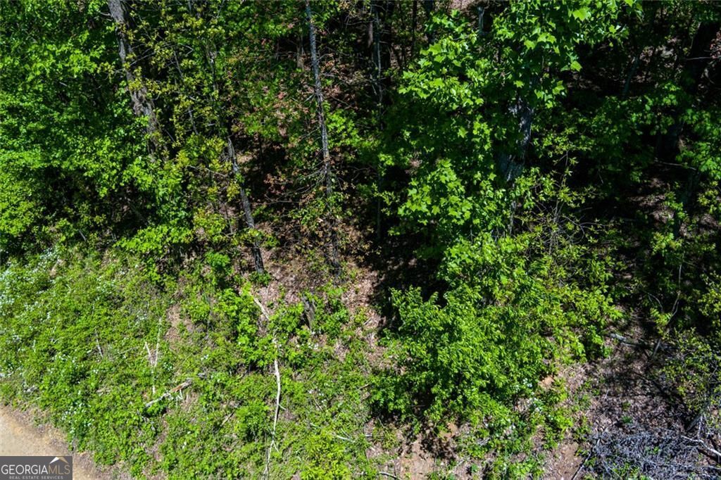 0 Fire Tower RD LOT 7