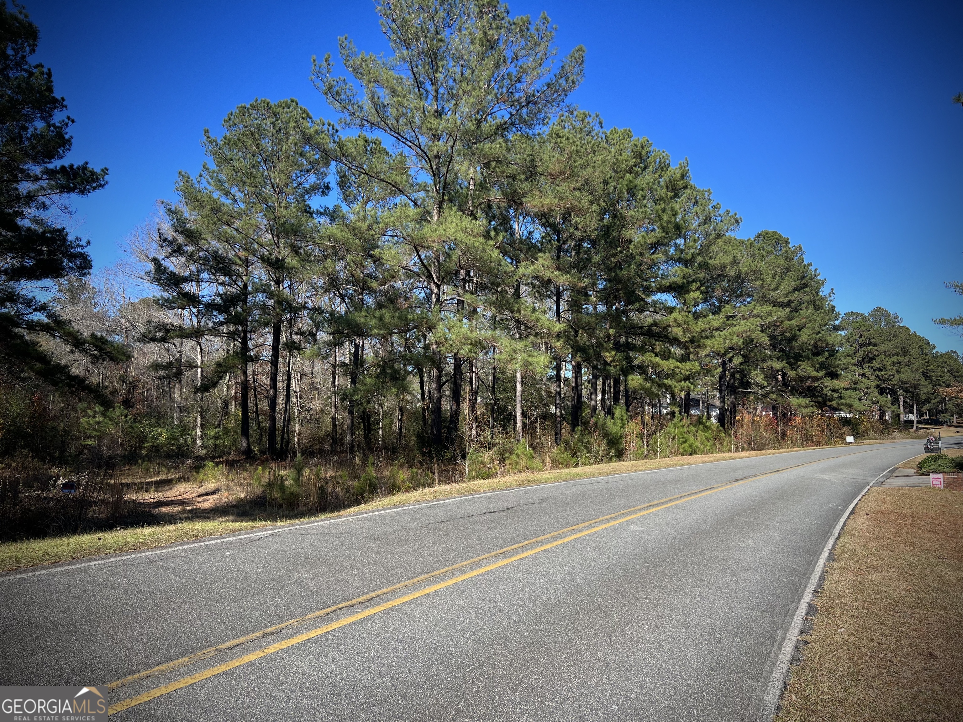 Beautiful 1.3-Acre Corner Lot in a Prime Location in Holly Hills area with optional neighborhood pool membership available for summer fun! Build your dream home on this wooded, spacious lot located at the corner of Cameron Court and Woodland Heights Road. Nestled in the county (no city taxes!) and just minutes from Trinity School (zoned for Northwest Laurens Elementary), this property offers the perfect blend of privacy and convenience. No HOA, but neighborhood restrictions are in place to maintain the charm and integrity of the area. No mobile homes permitted. Close to schools, shopping, and restaurants-this is the ideal spot to bring your vision to life!