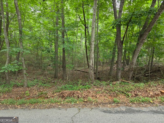 109 ARROWHEAD DR, LAVONIA, GA 30553 - Image 1dec6e53ddd3a496b54cf321bd9d654d/1553218119