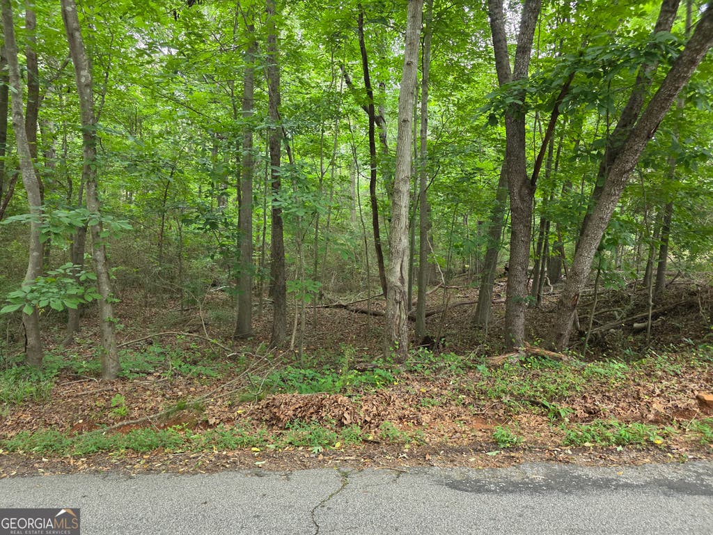 Photo of 109 Arrowhead Drive, Lavonia, GA 30553 (MLS # 10777100)