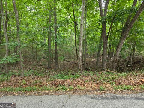Photo of 109 Arrowhead Drive, Lavonia, GA 30553 (MLS # 10777100)