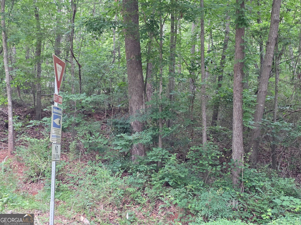 Photo of 109 Arrowhead Drive, Lavonia, GA 30553 (MLS # 10777100)