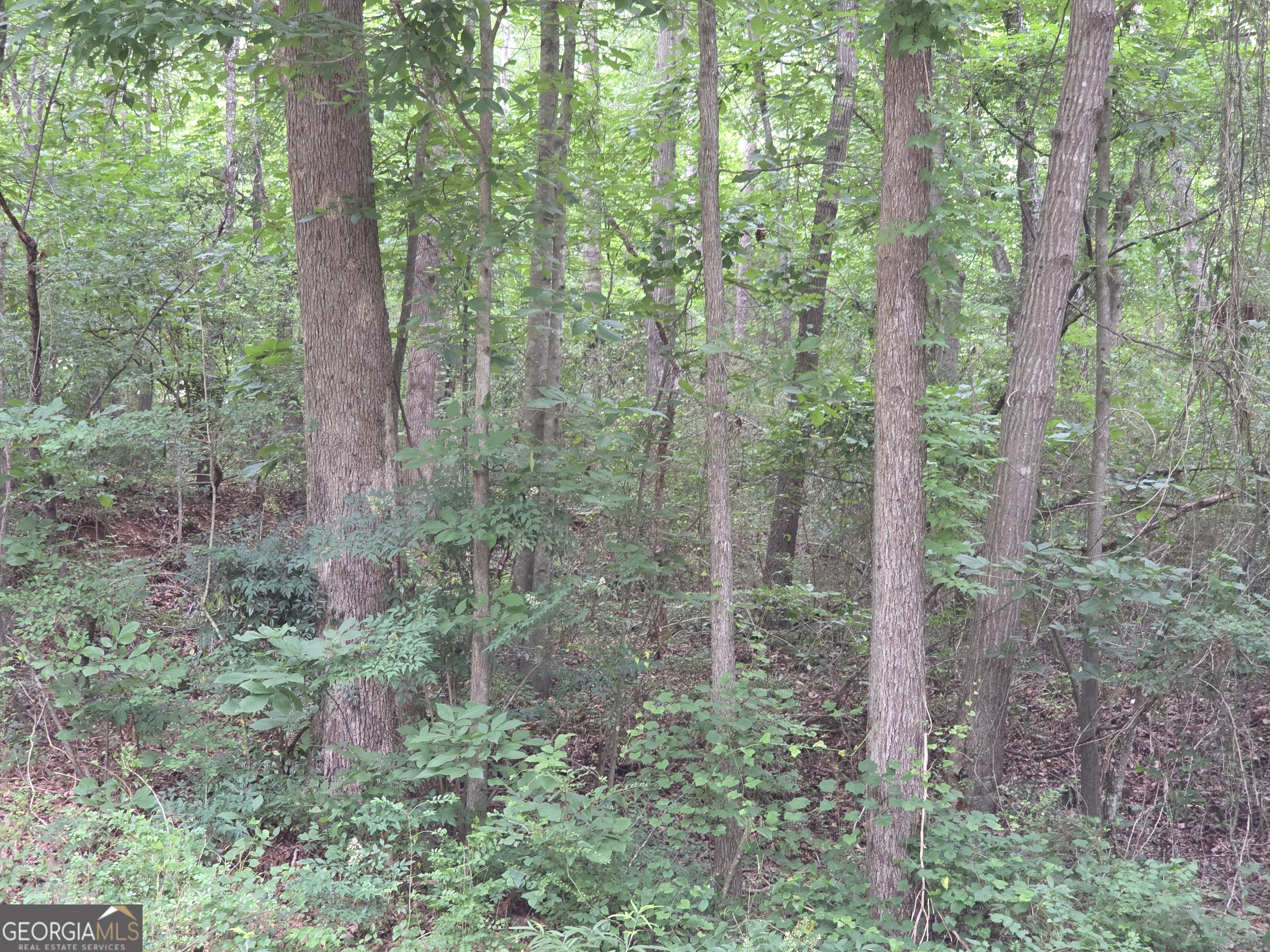 LOT 109 Arrowhead DR