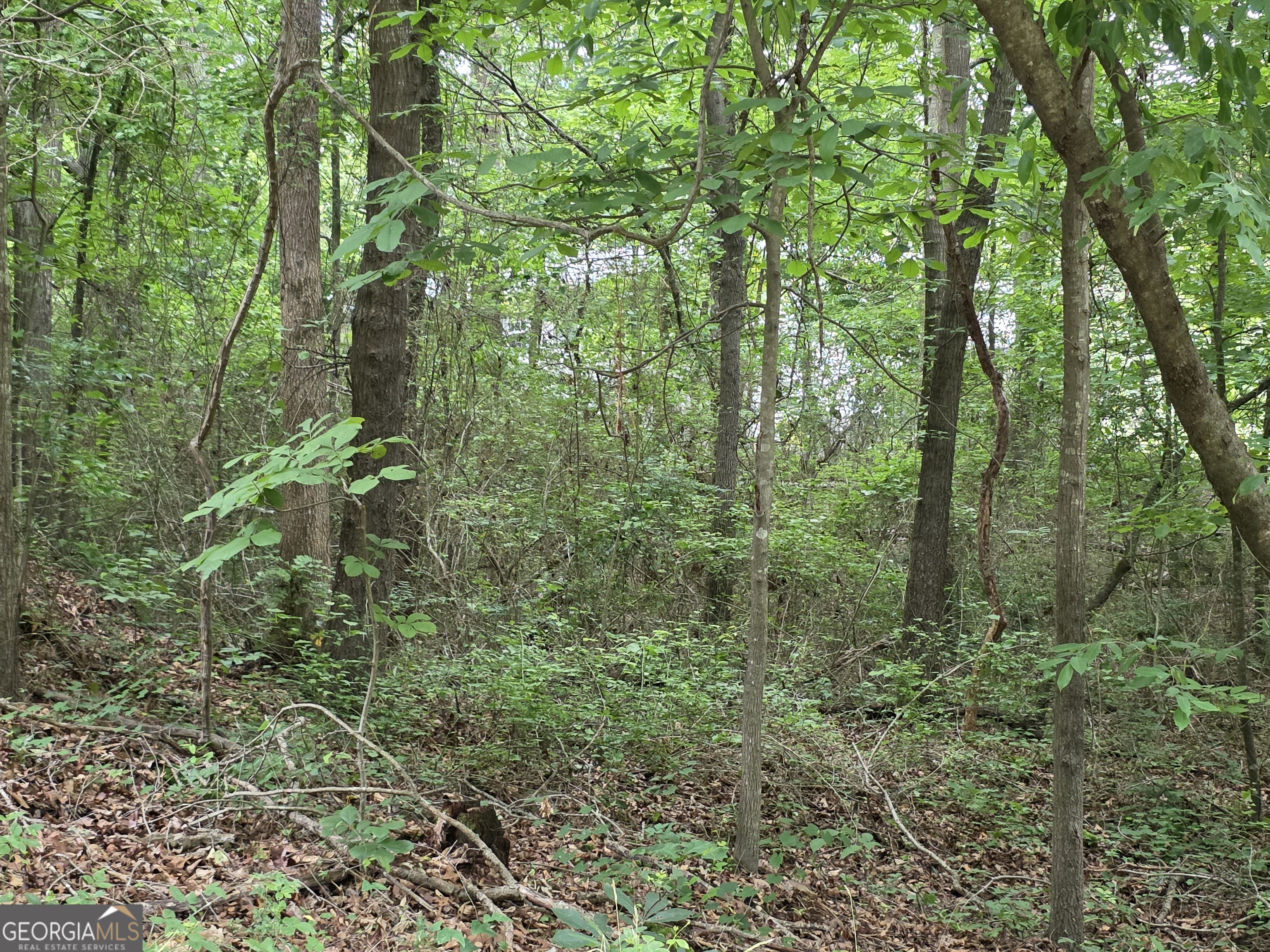 LOT 109 Arrowhead DR