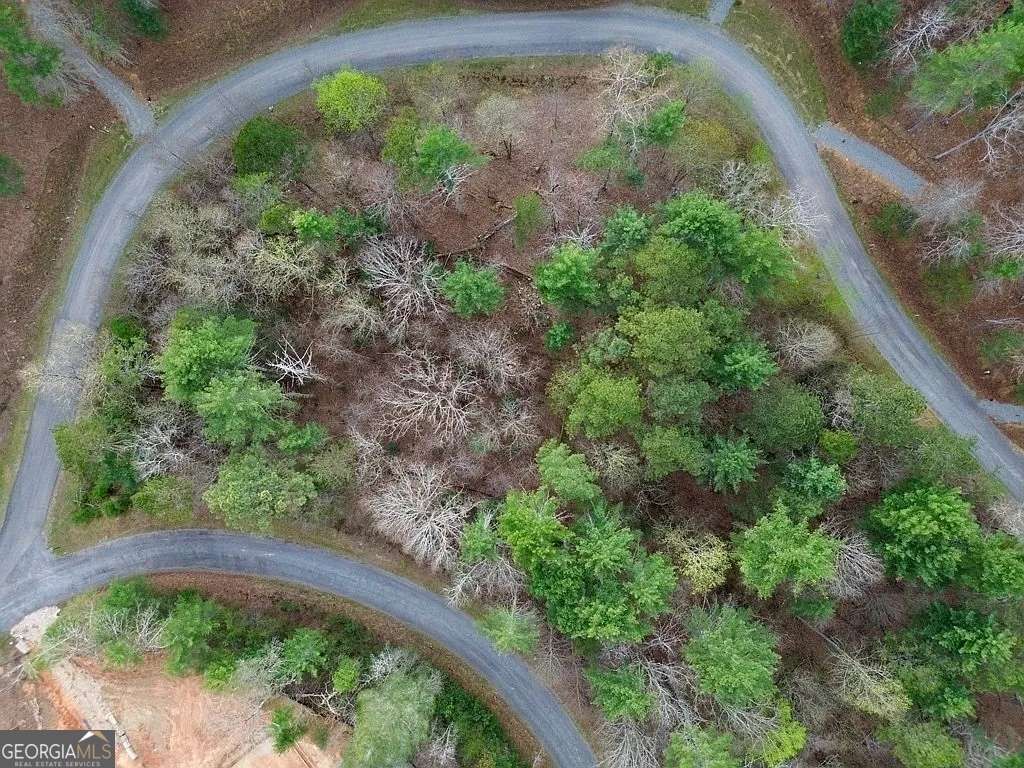 Photo of 108 Red Oak Trail, Ellijay, GA 30540 (MLS # 10737039)