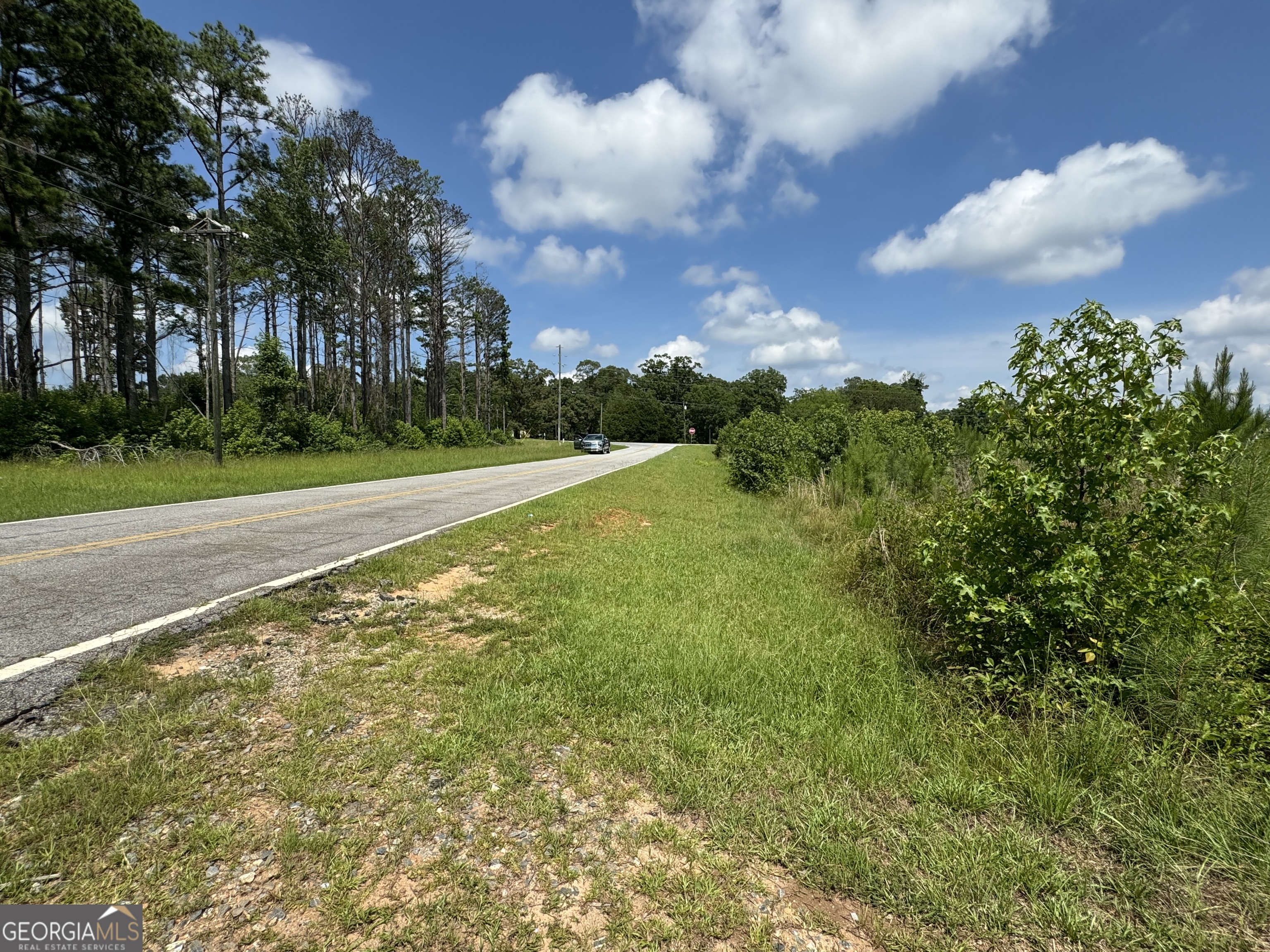 3854 Us Hwy 19