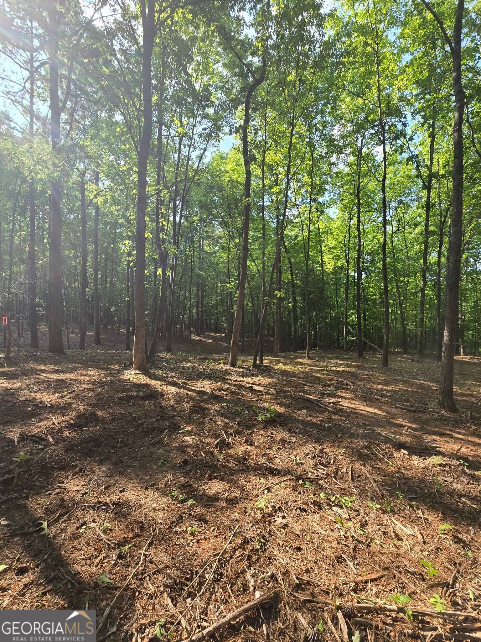 135 Lakeshore DR
