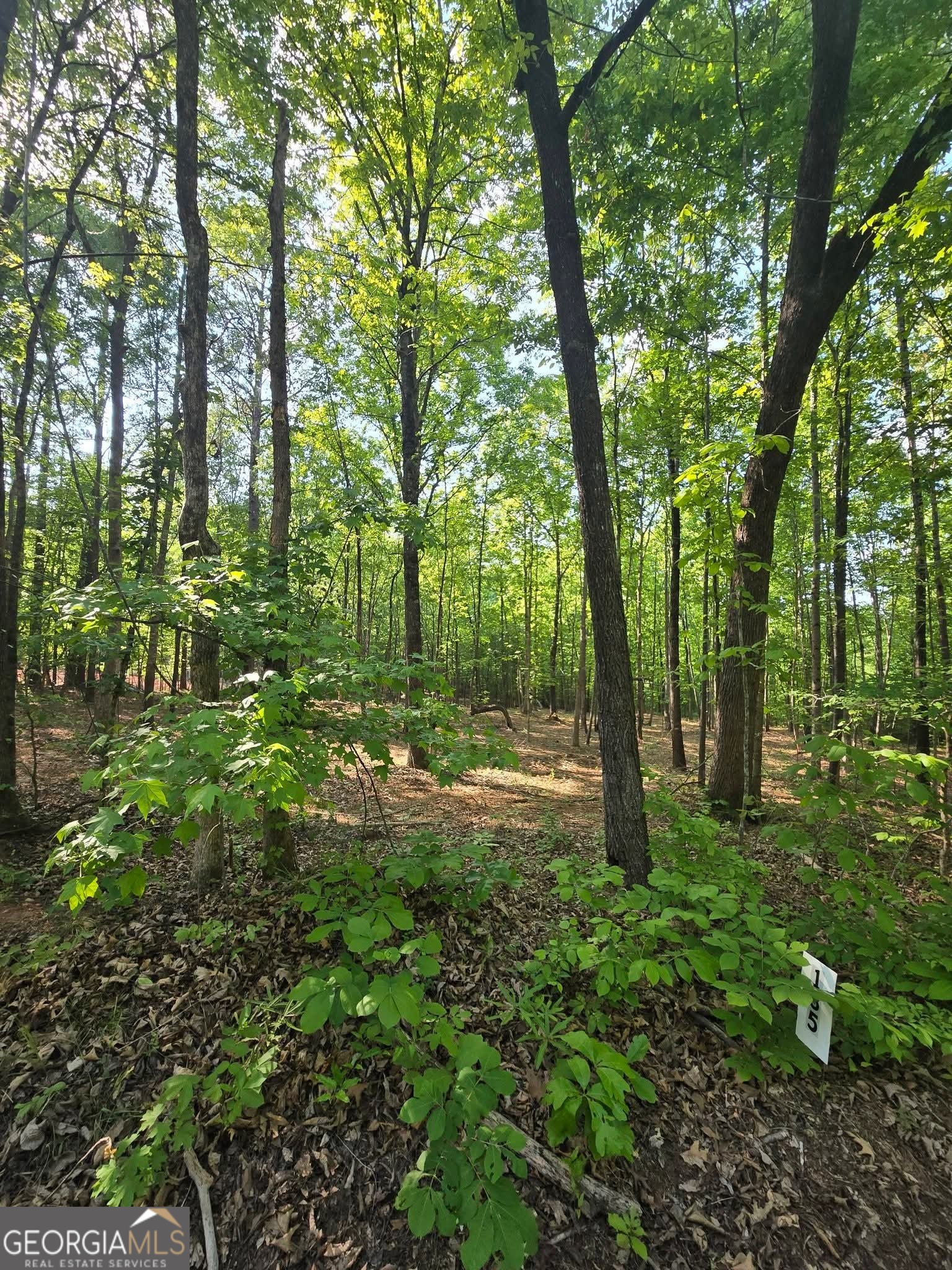 135 Lakeshore DR